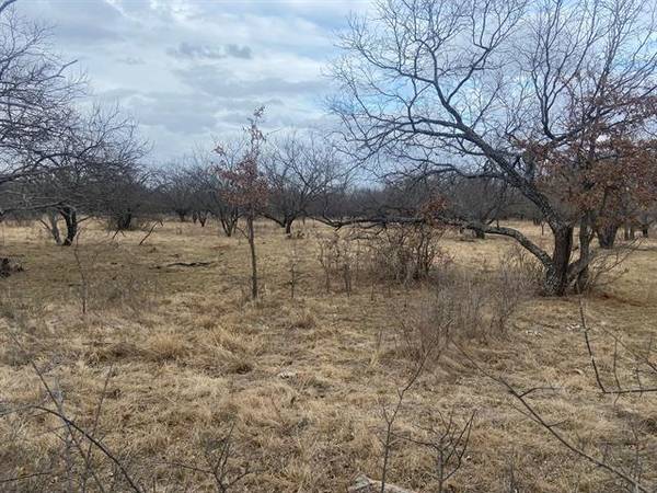 Tract 7 CR 290 North Road, Carbon, TX 76435