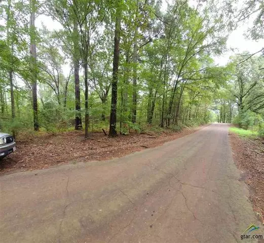 Tyler, TX 75708,TBD County Road 335