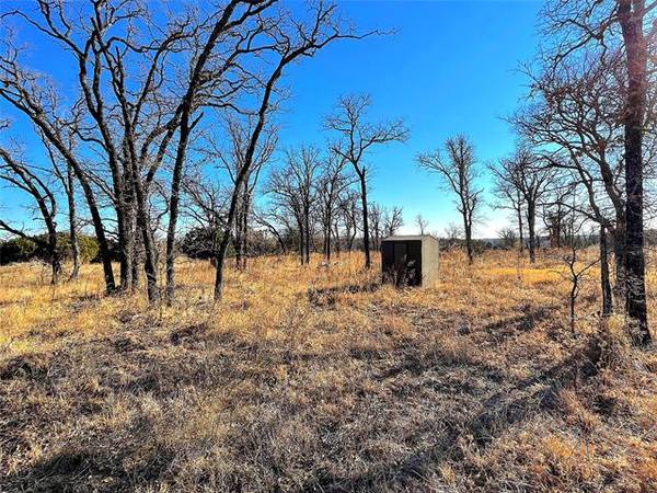 TBD B Reed Road, Perrin, TX 76486