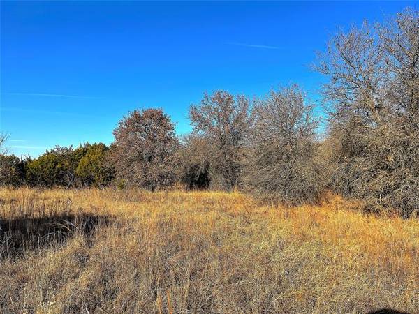 TBD A Reed Road, Perrin, TX 76486