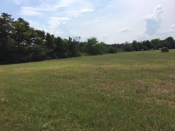 TBD County Road 4200, Winnsboro, TX 75494