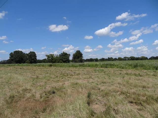 LOT 4 CR 2501, Eustace, TX 75124