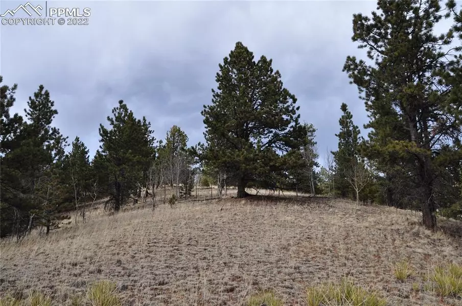 441 Wilson WAY, Cripple Creek, CO 80813