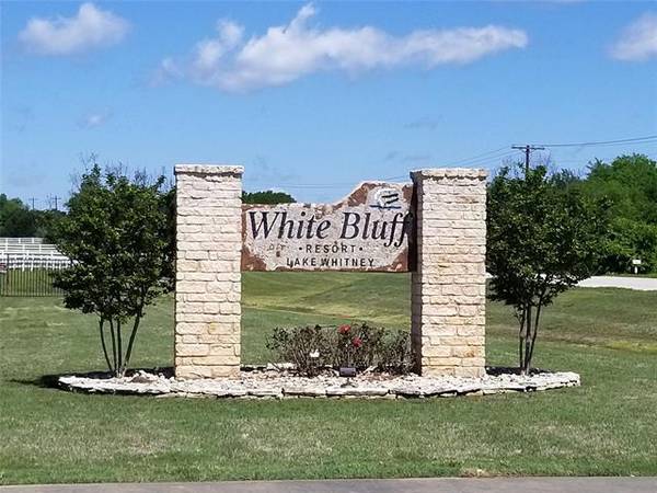 44175 Fringewood Drive, Whitney, TX 76692