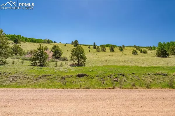 Cripple Creek, CO 80813,878 Anges DR