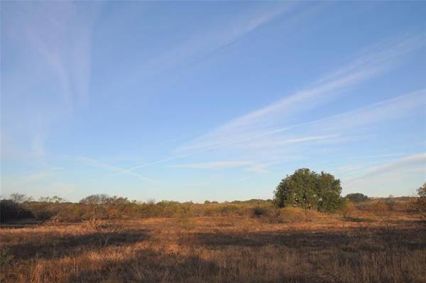 TBD County Rd 438 #2, De Leon, TX 76444