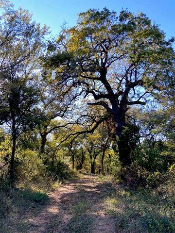 44 River Canyon Ranch, Palo Pinto, TX 76484