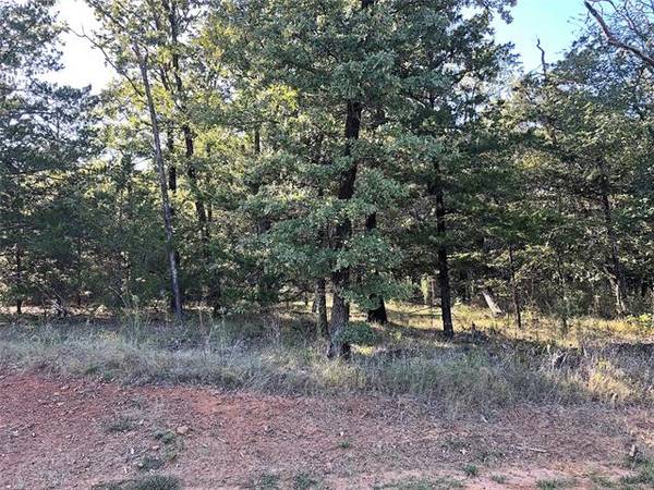 Lot 9 Castle Pines Circle, Gordonville, TX 76245