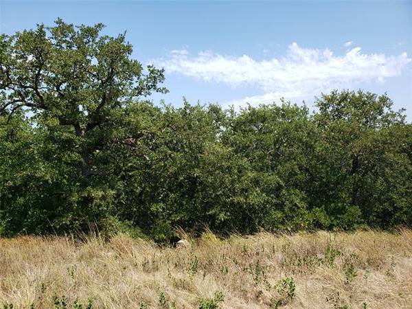 Lot 643 Horizon Ridge Court, Sunset, TX 76270