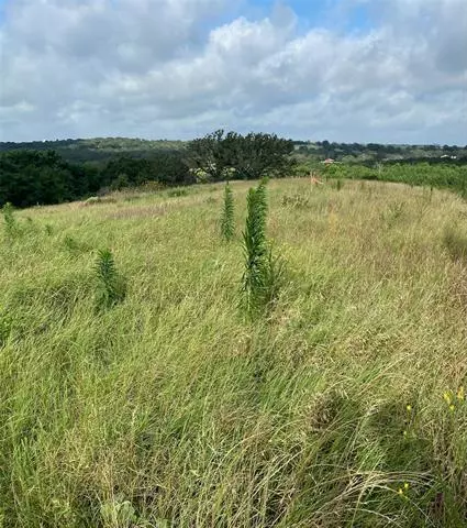 Athens, TX 75752,LOT 172 Lago Vista