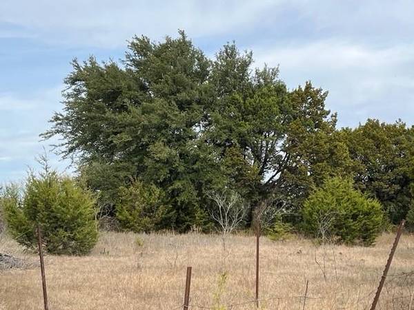 TBD CR 241, Hico, TX 76457