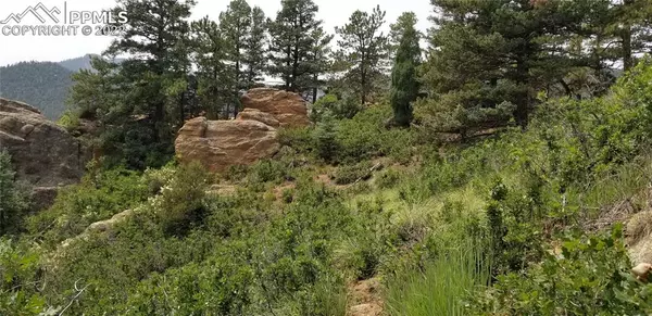 Manitou Springs, CO 80829,298 Sugarloaf Summit RD