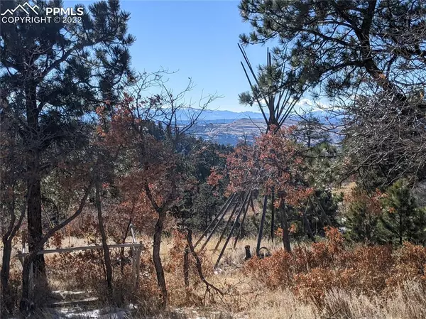 Cripple Creek, CO 80813,771 moffat DR