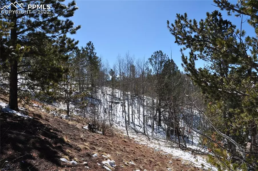 111 Wildhorse RD, Cripple Creek, CO 80813