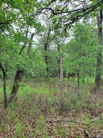 Lot 580 Cross Timbers, Bowie, TX 76230