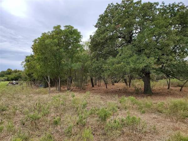 TBD County Rd 193, Comanche, TX 76442