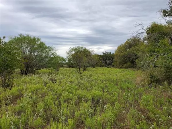 Comanche, TX 76442,TBD County Rd 193