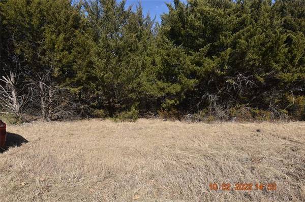 TBD Maple Drive, Pottsboro, TX 75076