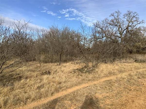 31.22 Ac Co Road 154, Cisco, TX 76437