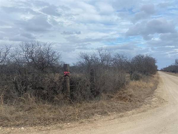 Tract 6 CR 290 North Road, Carbon, TX 76435