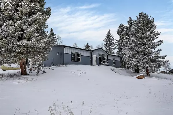 193 Minstrel DR, Divide, CO 80814