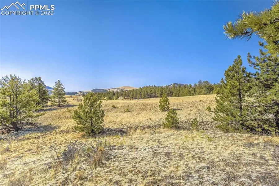 Lot 2 Deer LN, Guffey, CO 80820