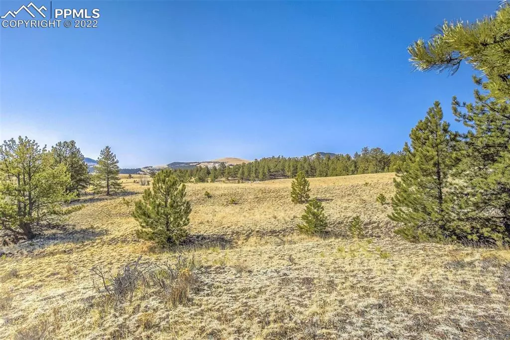 Guffey, CO 80820,Lot 2 Deer LN