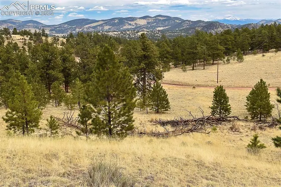 695 Elk LN, Guffey, CO 80820