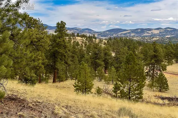 Guffey, CO 80820,695 Elk LN