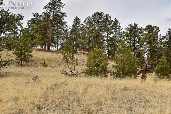 Guffey, CO 80820,695 Elk LN