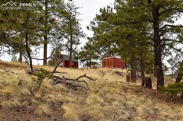 Guffey, CO 80820,695 Elk LN