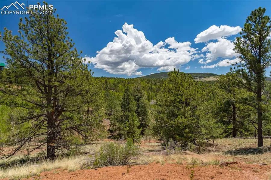 338 Little Topsey DR, Cripple Creek, CO 80813