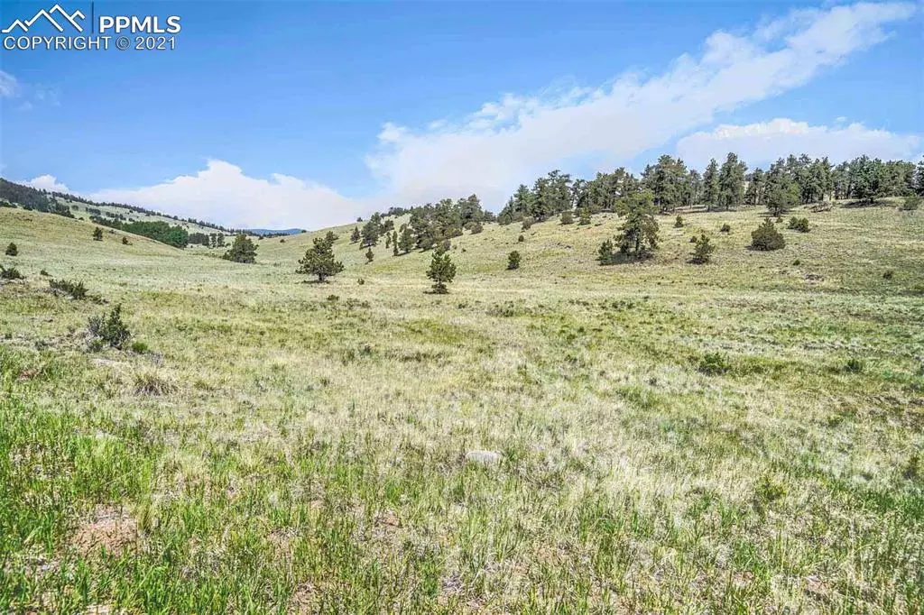 Guffey, CO 80820,3771 County Road 102