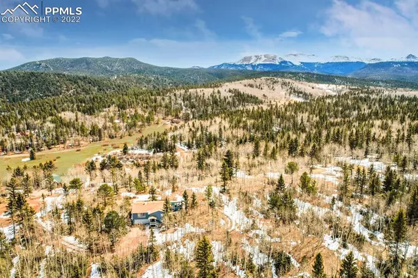 228 Worley RD, Divide, CO 80814