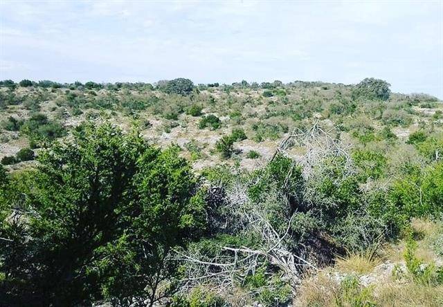 1048 SD 63040, Rocksprings, TX 78880