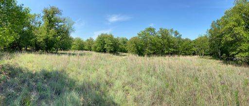 Lot 677 Oak Cove Court, Bowie, TX 76230