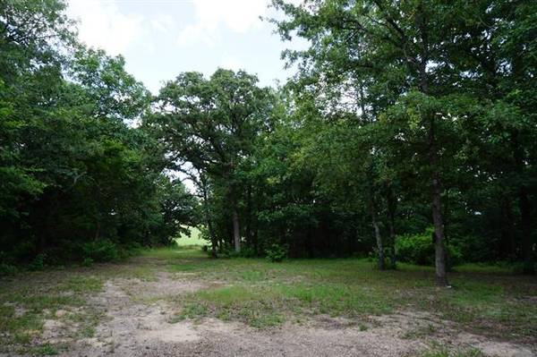 8465 County Road 1213, Athens, TX 75751