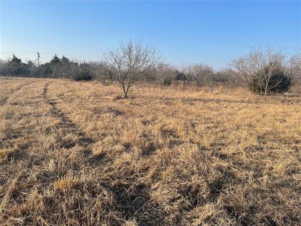 LOT 4 NE COUNTY 2120, Powell, TX 75135