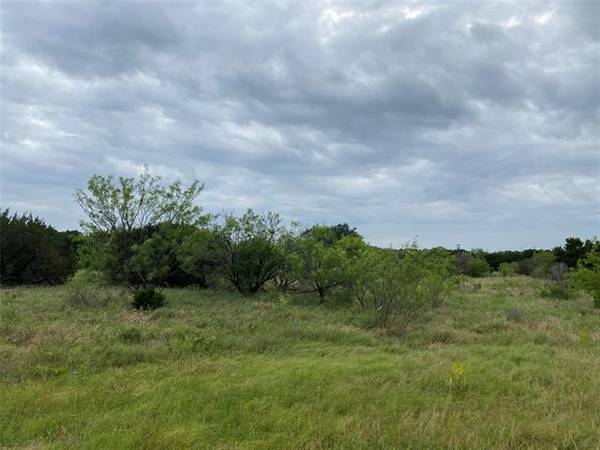 1273 Sparrow Court, Graford, TX 76449