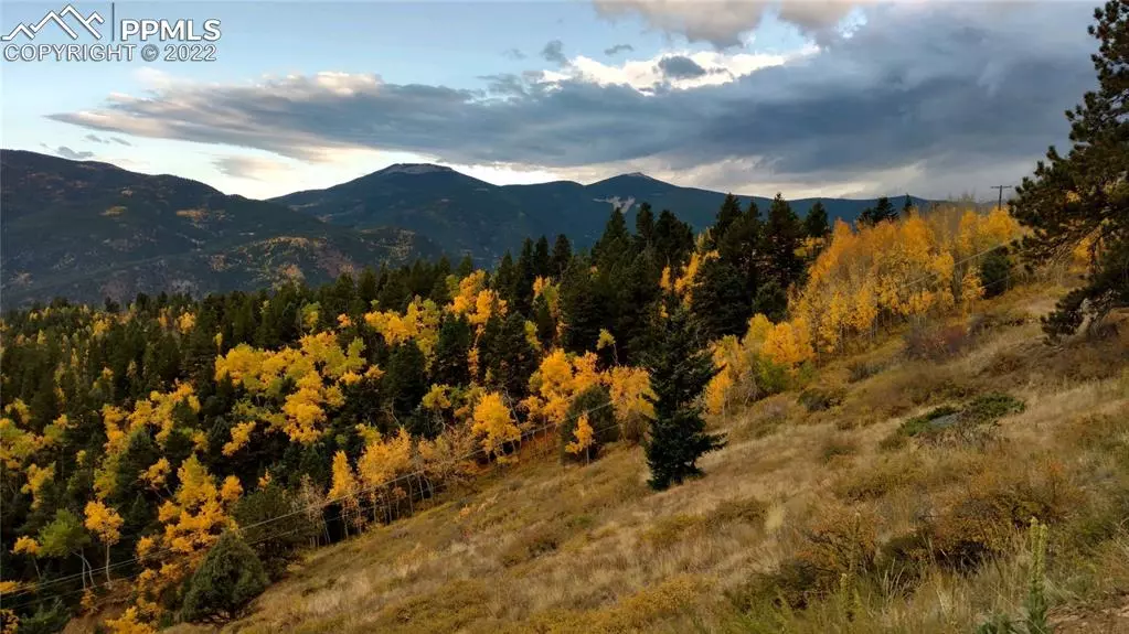 Idaho Springs, CO 80452,Virginia Canyon RD