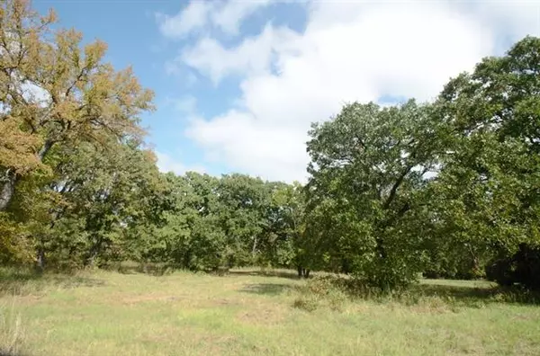 Pottsboro, TX 75076,21.7 Ac Reeves Road