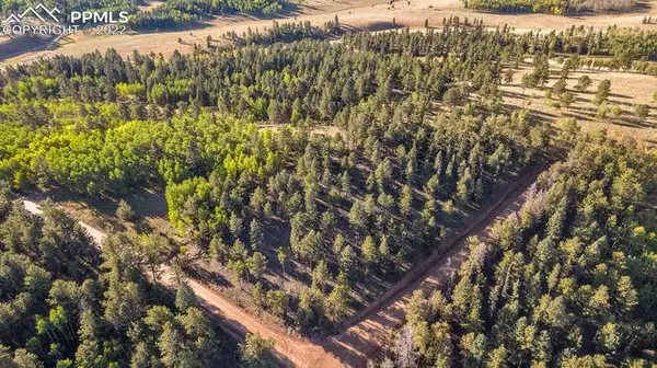 Woodland Park, CO 80863,Lot 20+21 Logger RD