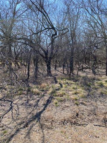 Whitney, TX 76692,TBD Private Road/Private road 226