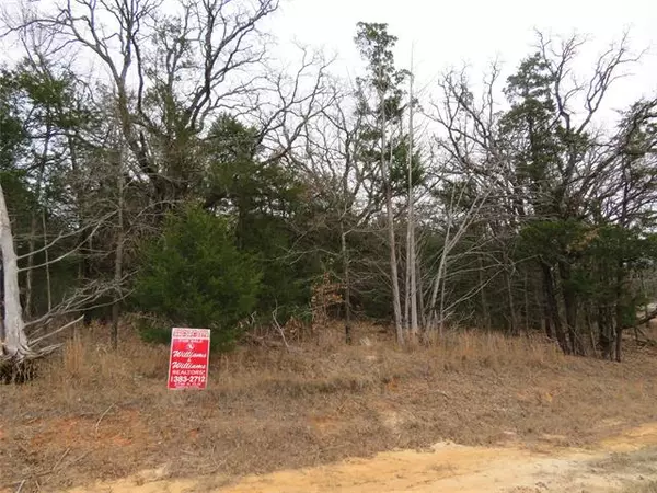 Gordonville, TX 76245,4 Palisades Drive