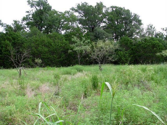 TBD County Road 160, Evant, TX 76525