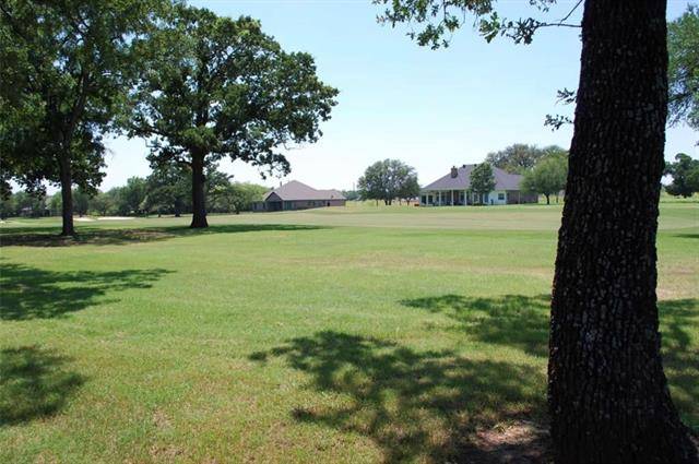 14007 Sandy Oaks Drive, Whitney, TX 76692