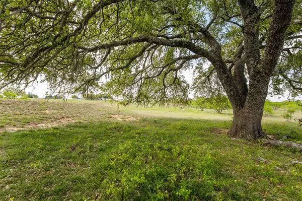 Dublin, TX 76446,12800 County Road 401