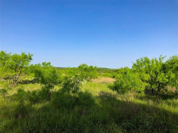 77 Ac Co Road 125, Cisco, TX 76437