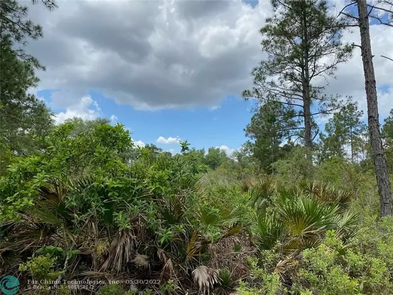 Lot 24 Ixora Drive, Other City - In The State Of Florida, FL 33855