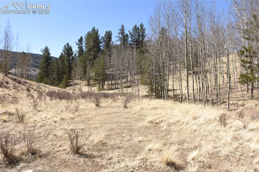 212 Wolftone DR, Cripple Creek, CO 80813